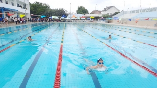 Thành phố Tây Ninh tổ chức giải vô địch bơi nhóm tuổi năm 2023