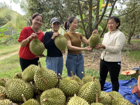 Trải nghiệm du lịch vườn