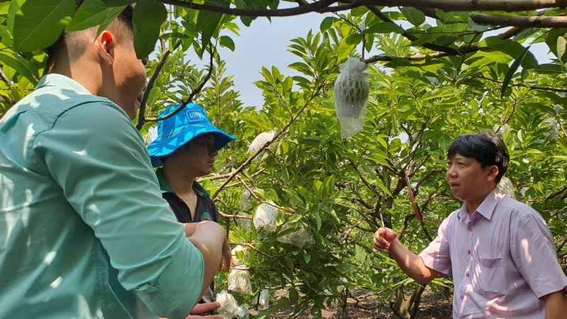 Đẩy mạnh công tác khuyến nông trên địa bàn tỉnh