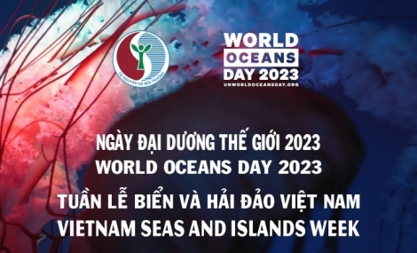 Tổ chức các hoạt động hưởng ứng Tuần lễ biển và hải đảo Việt Nam, Ngày Đại dương Thế giới, Ngày Môi trường Thế giới