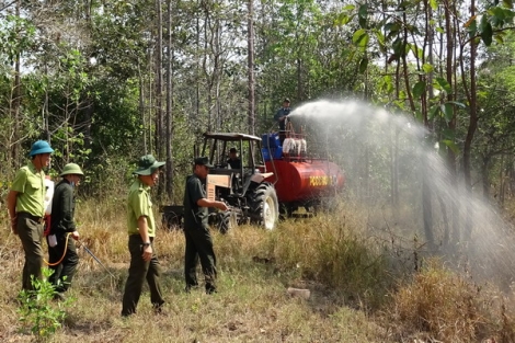 Mưa đến, nguy cơ cháy rừng ở Tây Ninh không còn ở mức cao