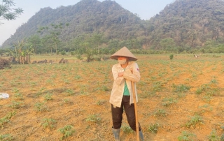 El Nino tác động đến Việt Nam, cảnh báo hạn hán, thiếu nước kéo dài đến 2025