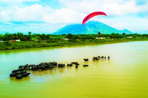 Một thoáng Dương Minh Châu