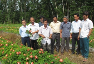 Hội Nông dân huyện Gò Dầu: Thực hiện nhiều dự án hỗ trợ hội viên phát triển sản xuất chăn nuôi