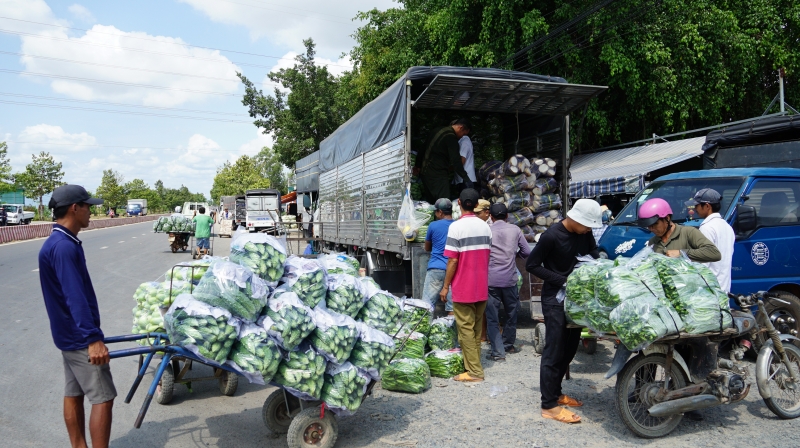 Giám sát an toàn thực phẩm nguồn gốc thực vật