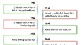 [Infographics] Quan hệ Đối tác chiến lược Việt Nam và Italy