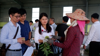 Khảo sát hoạt động hợp tác xã tại tỉnh Tây Ninh