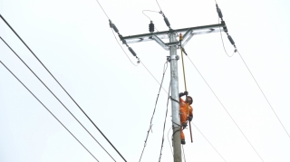 Điện lực Tây Ninh: Tập huấn sử dụng điện an toàn, tiết kiệm