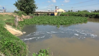 UBND tỉnh: Chỉ đạo phối hợp giải quyết tình trạng nước thải ở kênh Đìa Xù