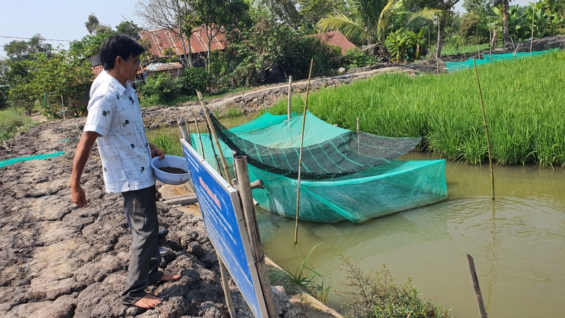 Quản lý môi trường nước và phòng trị bệnh trong nuôi trồng thuỷ sản