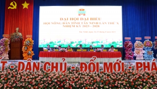 Đại hội đại biểu Hội Nông dân tỉnh Tây Ninh lần thứ X: Một nhiệm kỳ đổi mới, sáng tạo