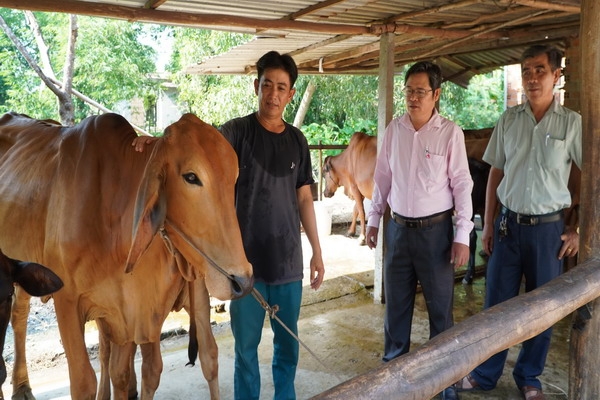 Đa dạng hoá sinh kế để giảm nghèo bền vững