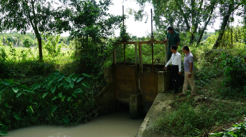 Bài 1: Đầu tư, gia cố đê bao phòng, chống lũ