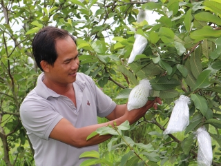 Hội Nông dân xã Long Thuận: Nâng cao chất lượng, hiệu quả phong trào nông dân
