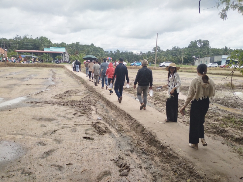 Bàu Ông Đá “nóng lên” một cách bất thường