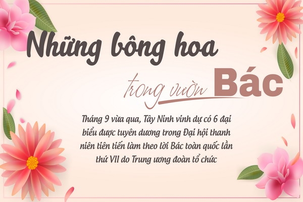 Những bông hoa trong vườn Bác