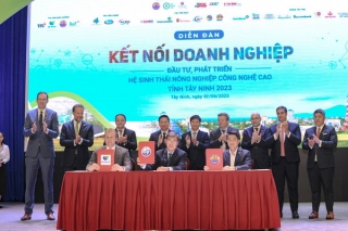 Liên doanh DHN đẩy nhanh tiến độ các dự án nông nghiệp công nghệ cao tại Tây Ninh