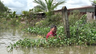 Sở Nông nghiệp và Phát triển nông thôn: Ðề nghị xử lý việc thoát nước cho cánh đồng Ba Cụm