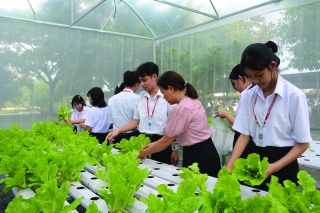 Học sinh thích thú với mô hình trồng rau thuỷ canh