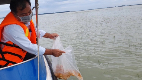 Nghiêm cấm khai thác thuỷ sản trong thời gian thả cá giống vào hồ Dầu Tiếng