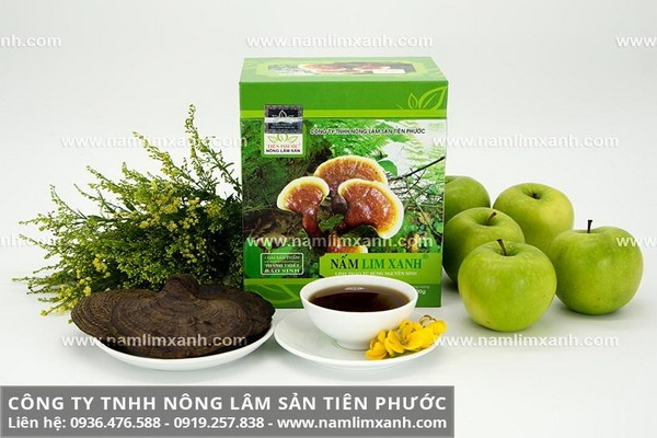 Tác dụng của nấm lim xanh chữa bệnh gì hiệu quả cao nhất?