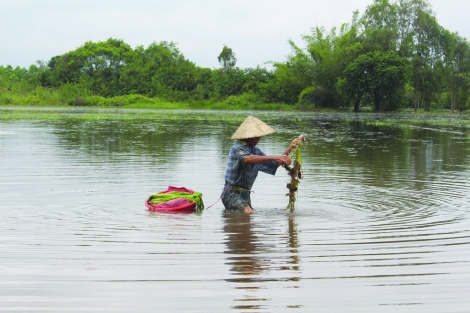 Những mùa nước nổi đong đầy kỷ niệm