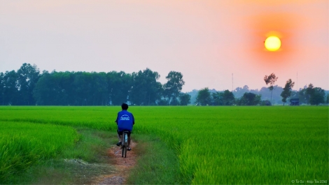 Một đời tần tảo…