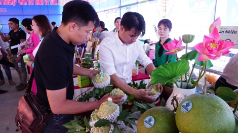 Kết nối xúc tiến tiêu thụ hàng hoá Tây Ninh – Long An