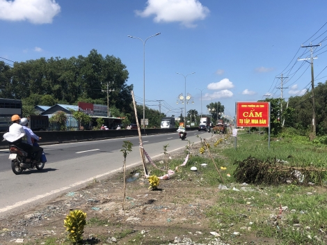 Trồng cây ngăn chặn mua bán, lấn chiếm lòng, lề đường