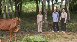 Huyện Dương Minh Châu: Nỗ lực giảm nghèo bền vững