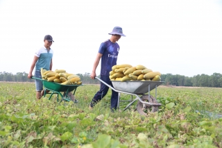 Việt Nam chuyển đổi hệ thống lương thực thực phẩm theo hướng phát triển xanh
