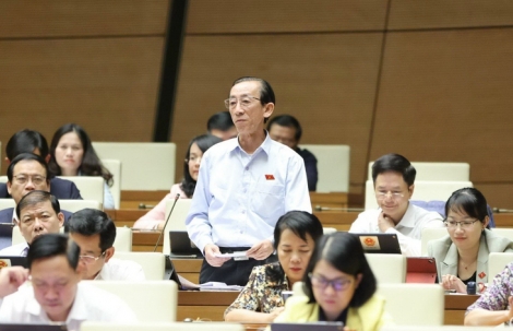 PGS.TS Trần Hoàng Ngân làm trợ lý Bí thư Nguyễn Văn Nên