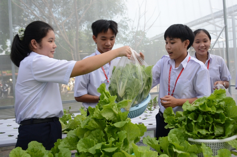 Dạy thêm, học thêm - góc nhìn đa chiều