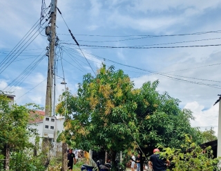 Phường 1, TP. Tây Ninh: Dây cáp neo giằng trụ điện gây nguy hiểm cho người dân đã được tháo dỡ