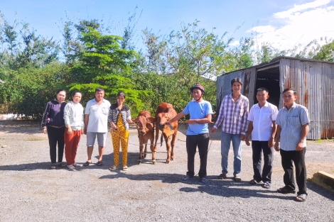 Xã Truông Mít, huyện Dương Minh Châu: Giao bò giống cho các hộ nghèo, cận nghèo, mới thoát nghèo