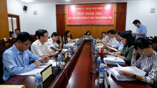 Ban Kinh tế - Ngân sách HĐND tỉnh: Thẩm tra các nội dung trình kỳ họp thứ 10