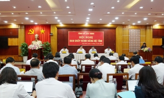 Khai mạc Hội nghị Ban Chấp hành Đảng bộ tỉnh lần thứ 31
