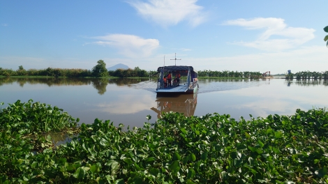 Châu Thành: Người dân vui mừng vì bến phà Gò Nổi - An Bình hoạt động trở lại