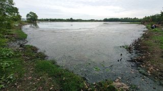 Xã Trường Đông, thị xã Hoà Thành: Nước kênh cầu Rạch Rễ Dưới ô nhiễm nghiêm trọng