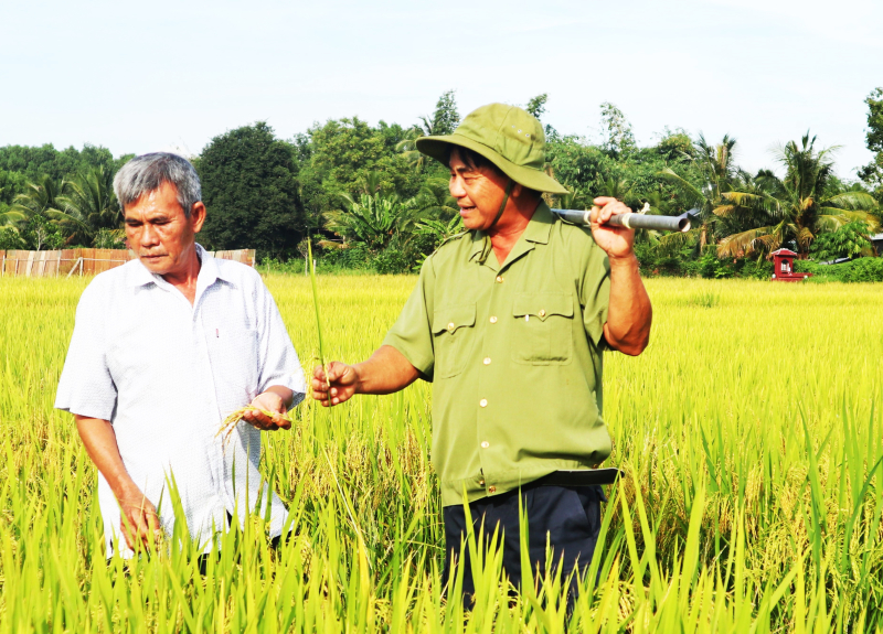 Cựu chiến binh làm giàu từ nghề nông