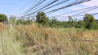 Trảng Bàng: Ðã có kế hoạch đầu tư lưới điện đến tổ 1, ấp Trảng Cỏ, xã Ðôn Thuận