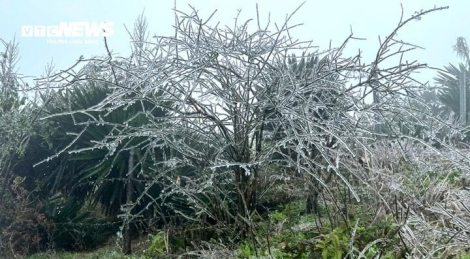 Mẫu Sơn xuống âm 2,2 độ C, đêm nay miền Bắc rét nhất đợt này