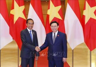 Thúc đẩy quan hệ Việt Nam - Indonesia đi vào thực chất, sâu rộng hơn