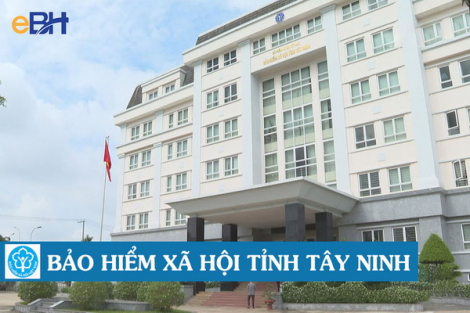 Tuyển dụng viên chức vào làm việc tại các đơn vị trực thuộc BHXH tỉnh Tây Ninh năm 2024