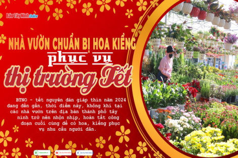 Nhà vườn chuẩn bị hoa kiểng phục vụ thị trường Tết