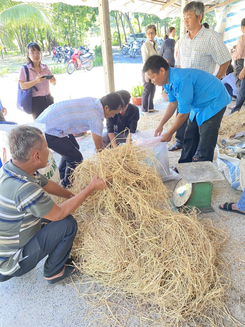 Từng bước phát huy vai trò của Tổ khuyến nông cộng đồng