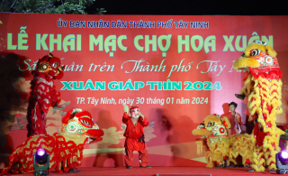 Thành phố Tây Ninh: Khai mạc Chợ hoa Xuân Giáp Thìn- 2024