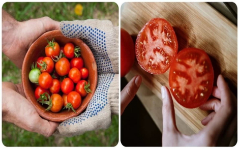 Điều gì sẽ xảy ra nếu bạn ăn một nửa quả cà chua mỗi ngày?
