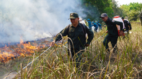 Diễn tập phòng cháy, chữa cháy rừng tại trảng Tà Nốt