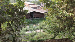 Phường Lộc Hưng, thị xã Trảng Bàng: Phụ huynh bức xúc vì chuồng heo sát vách nhà trường gây ô nhiễm môi trường